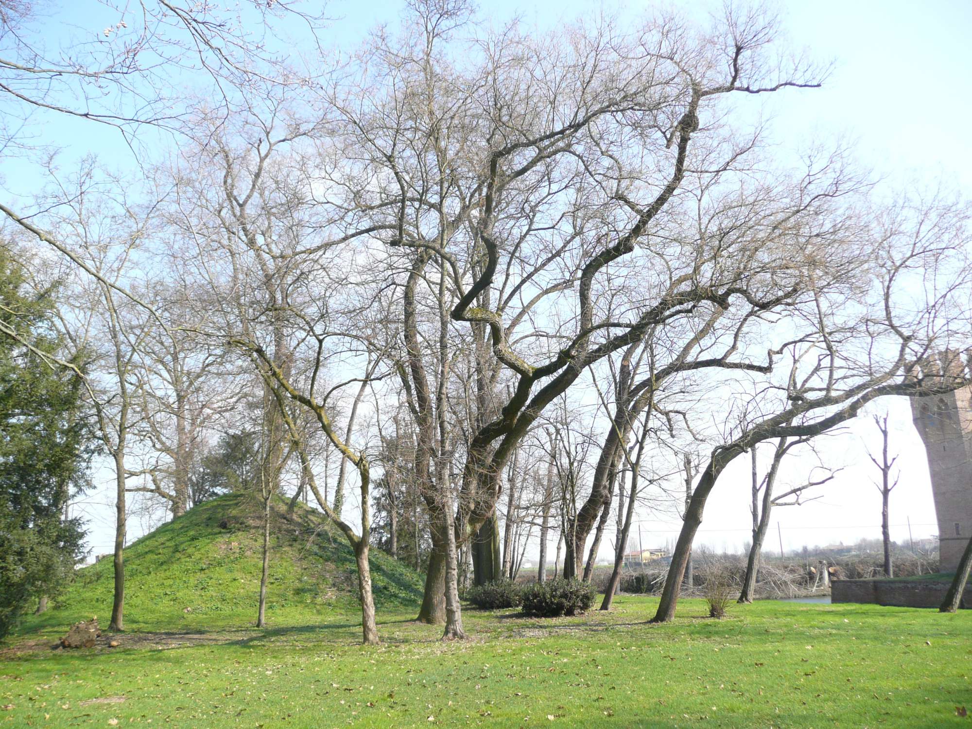 VB S. Martino Soverzano 2 BO